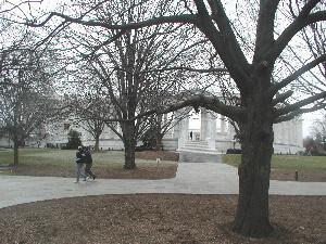 Arlington National Cemetary