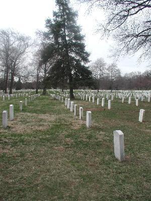 Arlington National Cemetary