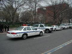 Police Cars