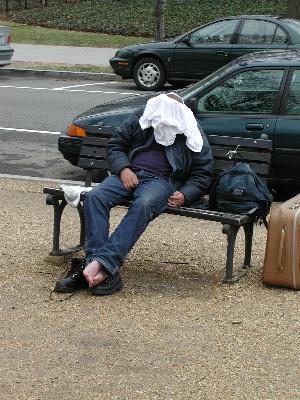 Bum with underpants on his head